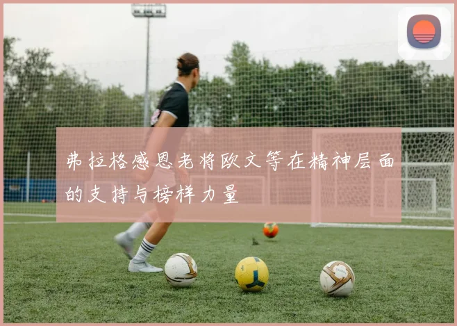 弗拉格感恩老将欧文等在精神层面的支持与榜样力量