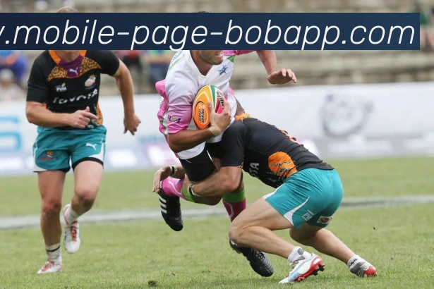 BOB体育品牌故事