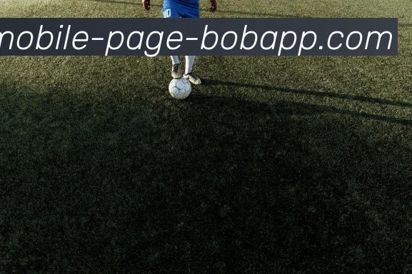 BOB体育服务体系